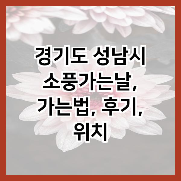 소풍가는날 서현점 사진 6