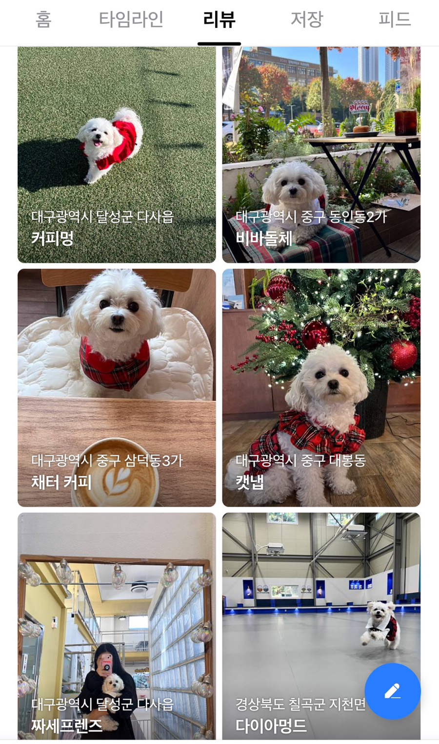 비바돌체 이미지