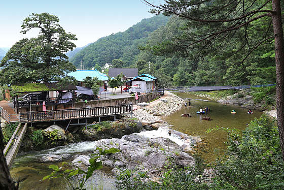 네이버블로그