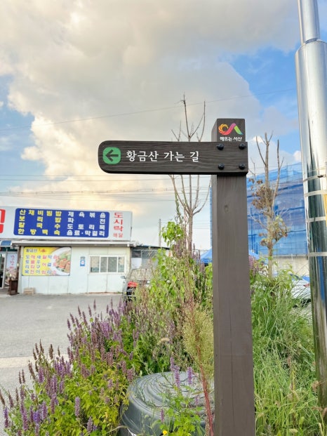 파파스디마지오 이미지