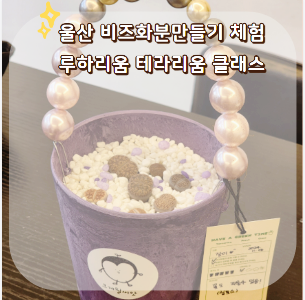 루하리움 이미지