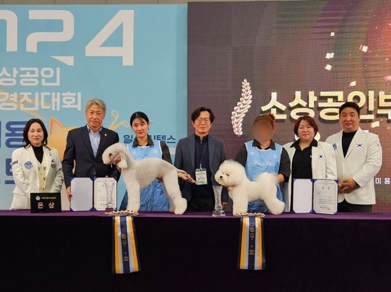 윈애견미용학원 이미지