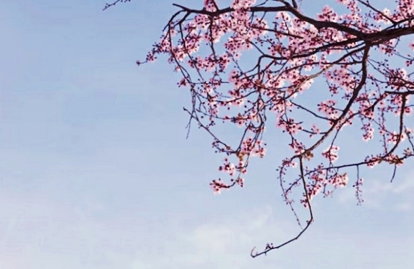 천상선녀님 이미지