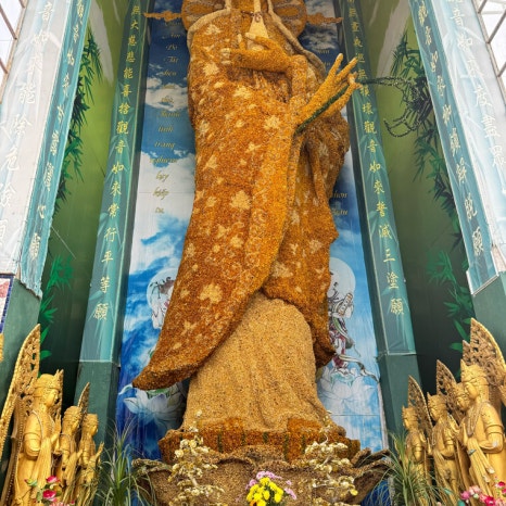 베테랑투어 이미지