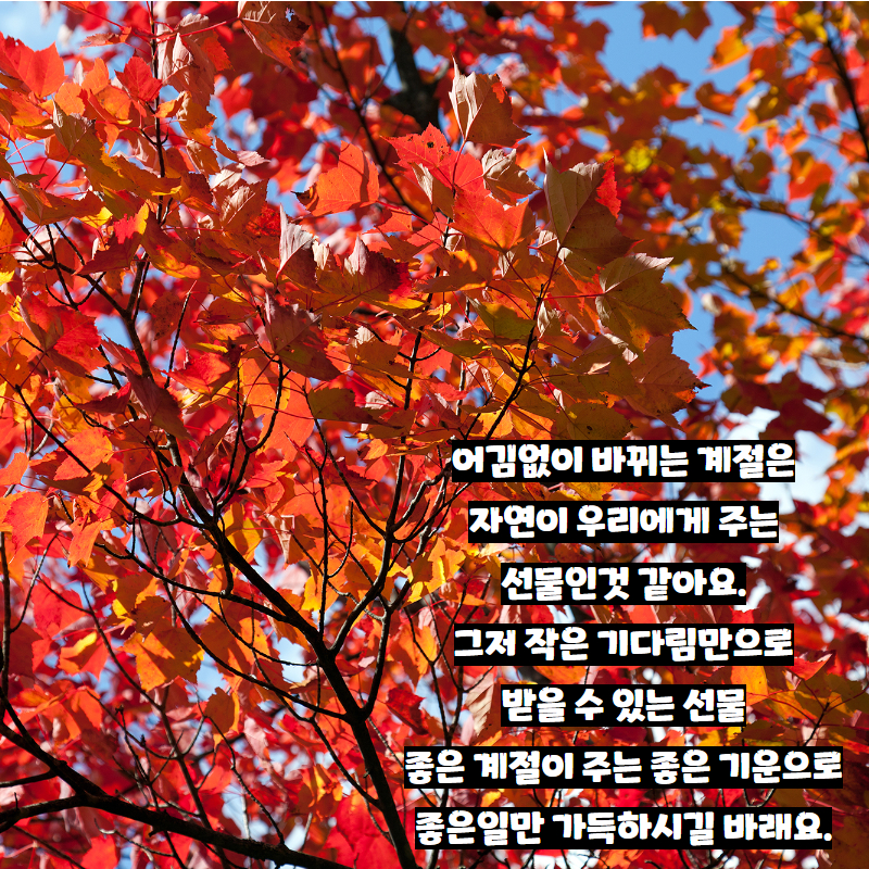 제이와이정보통신 이미지