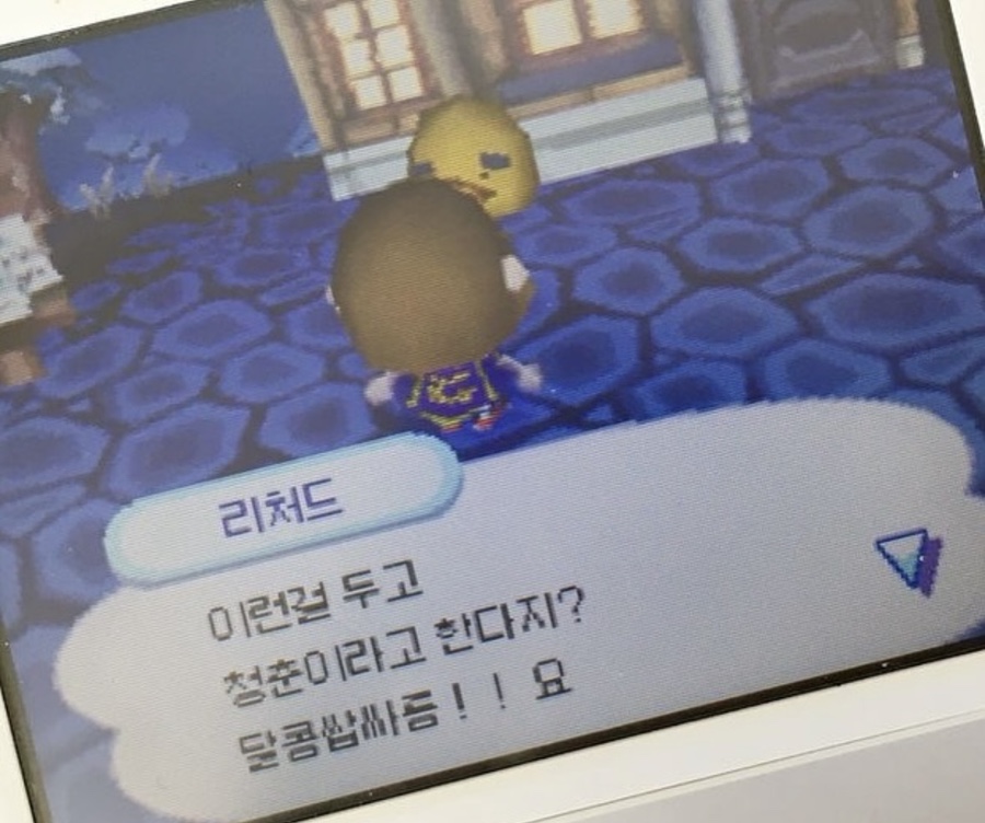 마름달 이미지