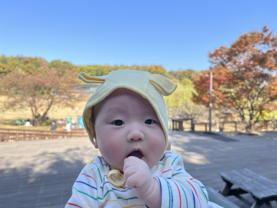 더봄개량한복 이미지