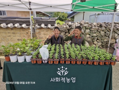 지리산해뜨네 이미지
