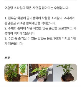 어흥씨의서가 이미지