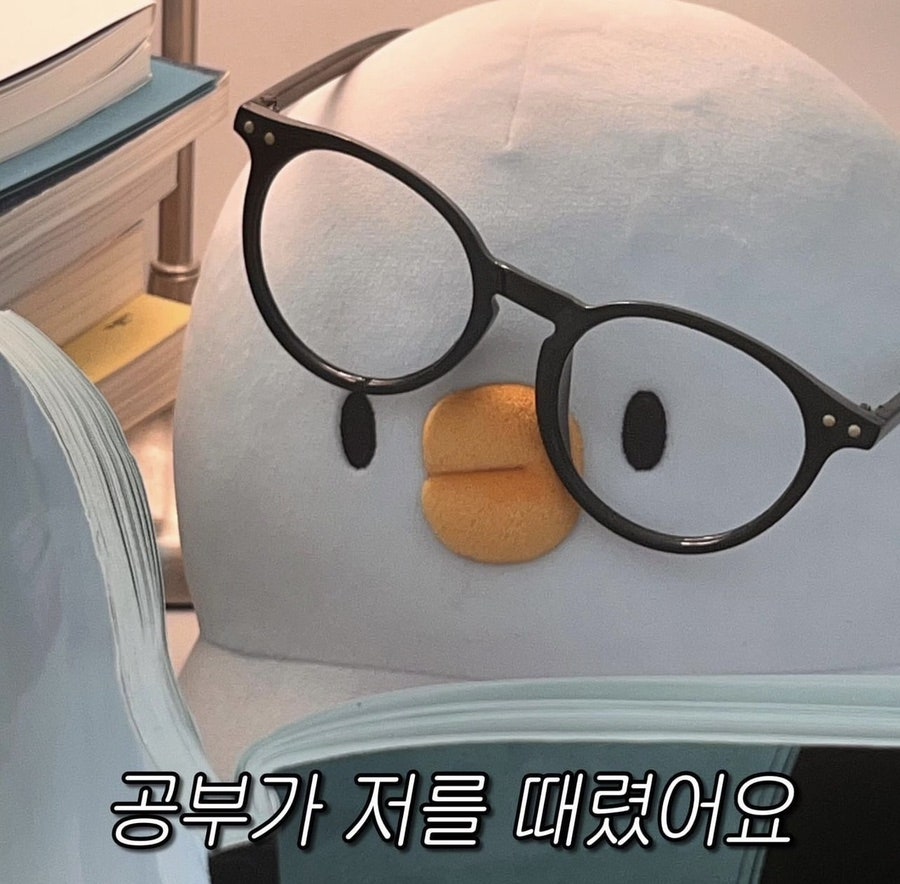 더오리 이미지