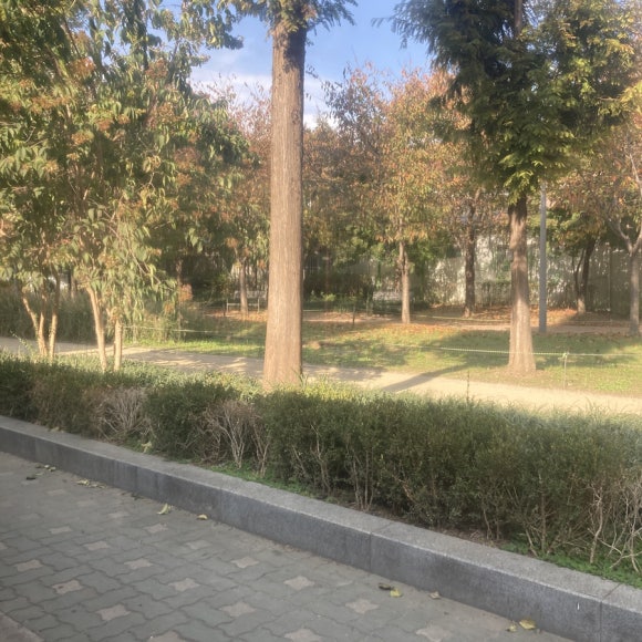 숲길 이미지