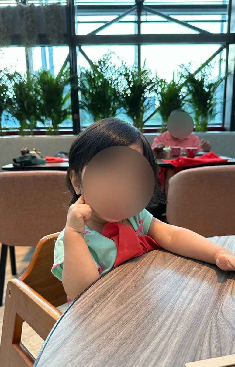바이더카 이미지