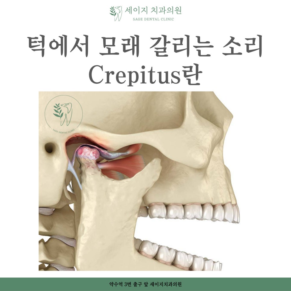 세이지치과의원 이미지