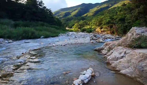 오색산새소리캠핑장 이미지