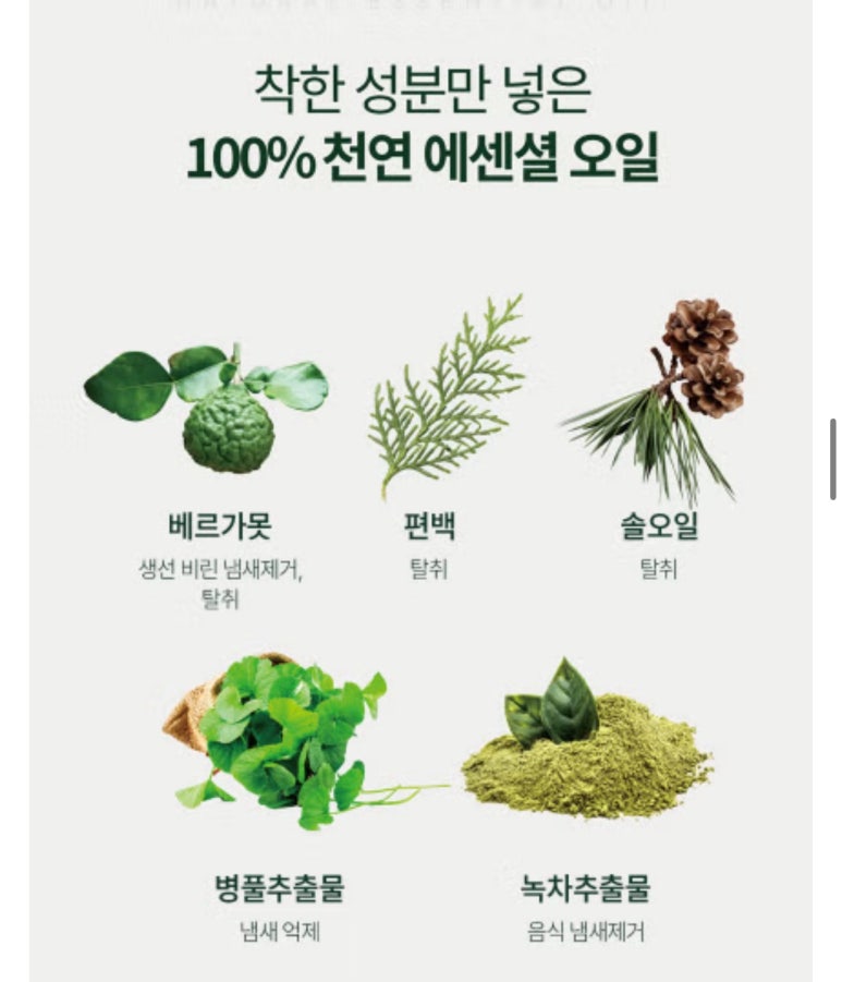 차칸가게 이미지
