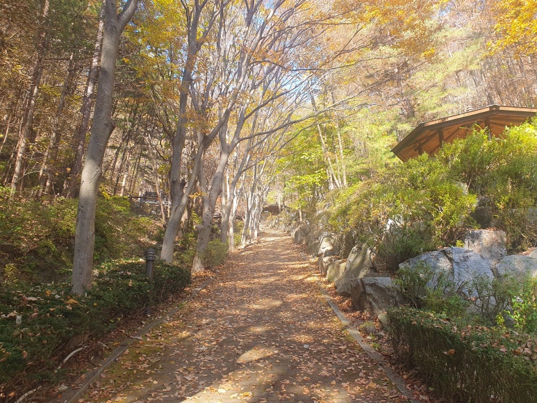 두릉산자연휴양림 이미지