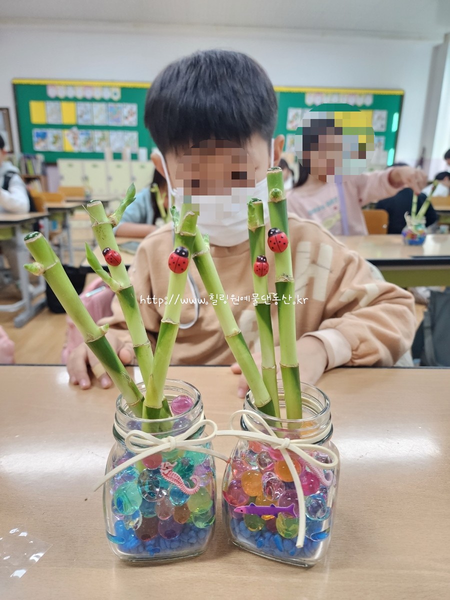 늘봄원예 이미지