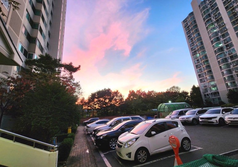파랑새조경 이미지