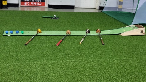 피닉스골프용품 이미지