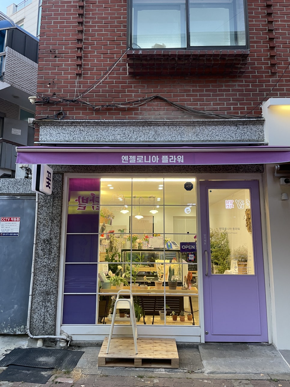 엔젤로니아플라워 이미지