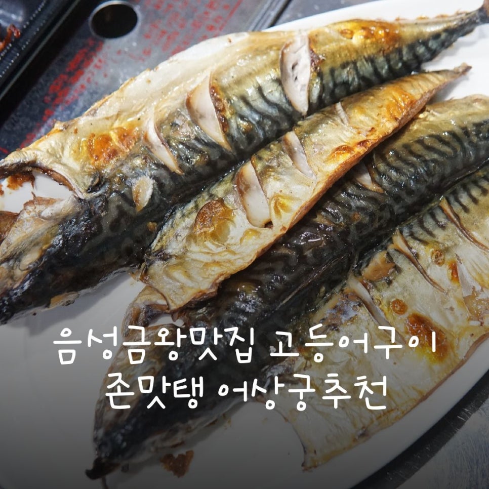 어상궁 이미지