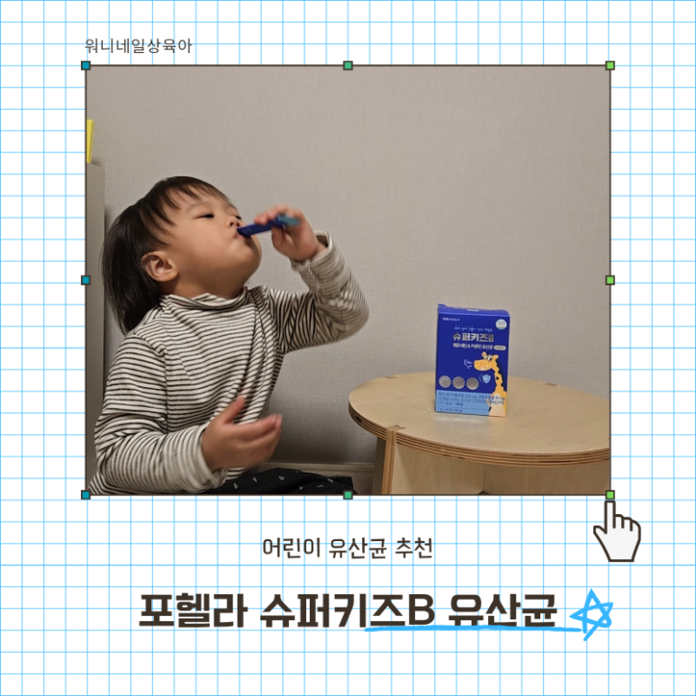 포헬라 이미지