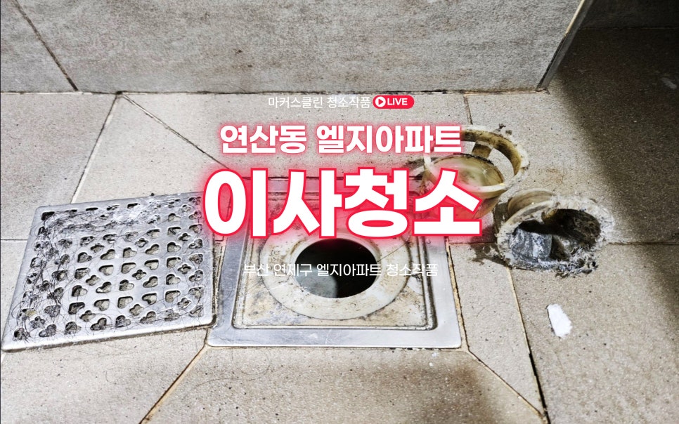 마커스클린 이미지
