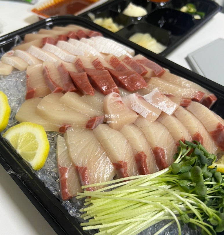 오투플렉스 이미지