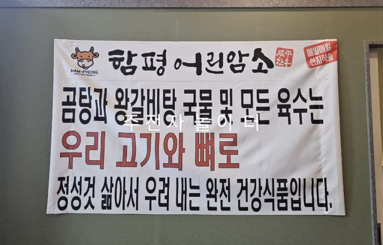 함평어린암소 이미지