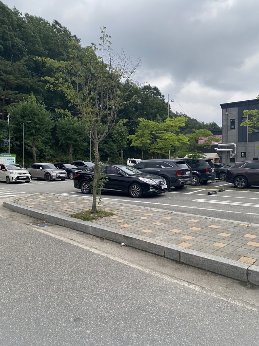 정중앙풍천장어 이미지