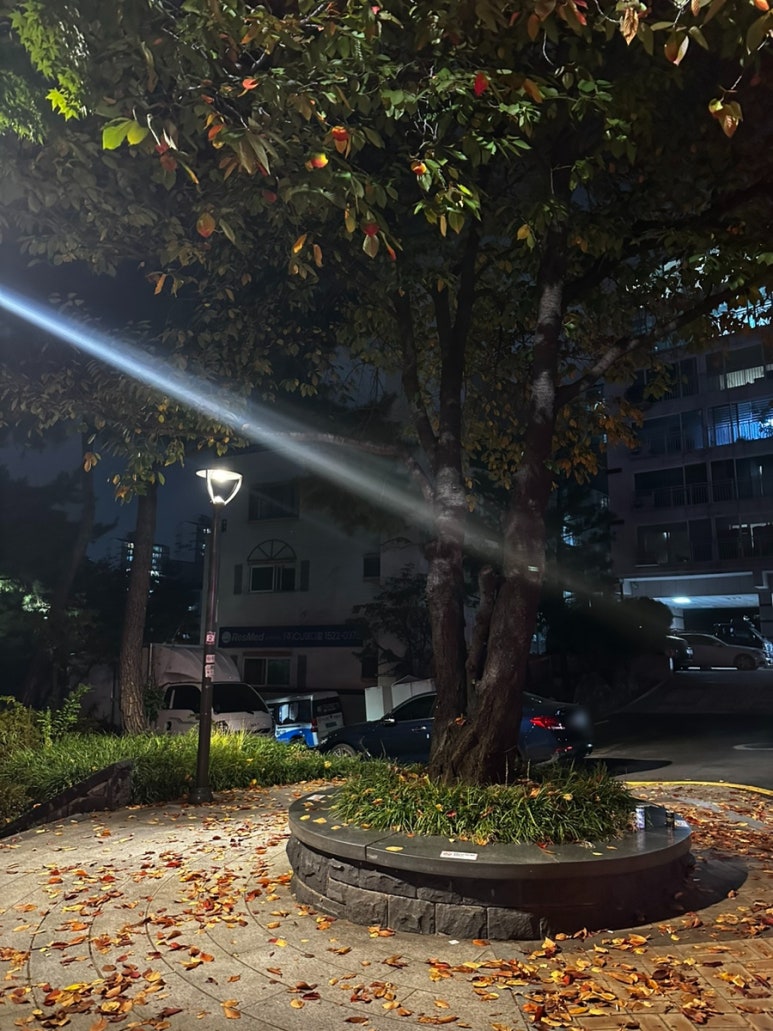 굽네치킨성산2동점 이미지
