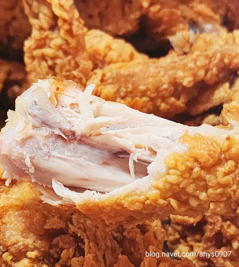 바른치킨대전 이미지