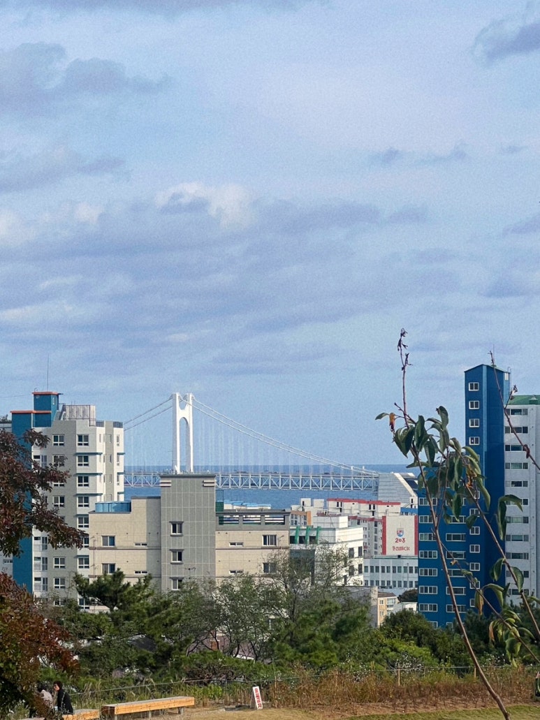 모모스커피도모헌점 이미지