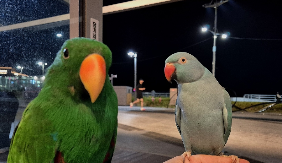 바 해운대(BAR HAEUNDAE) 이미지