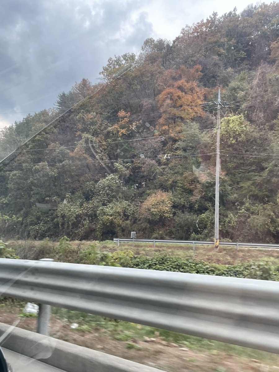 꾸아춘천점 이미지
