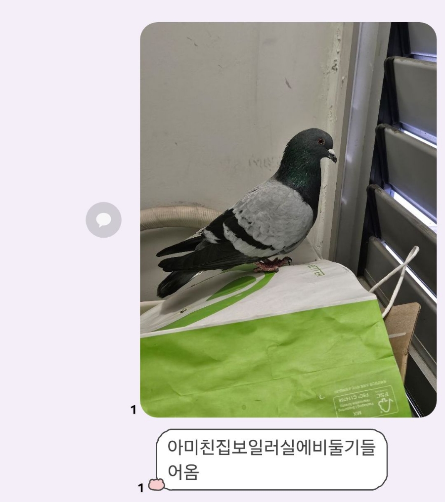 푸드덕 이미지