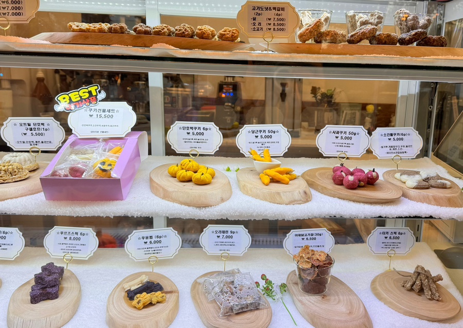 수원 인계동 강아지 수제간식 '헤븐독' 가성비 카페 — 사진 7
