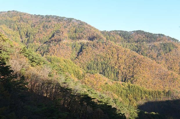 보발재드라이브 이미지