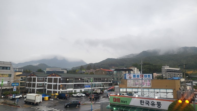 몬스터피트니스센터 이미지