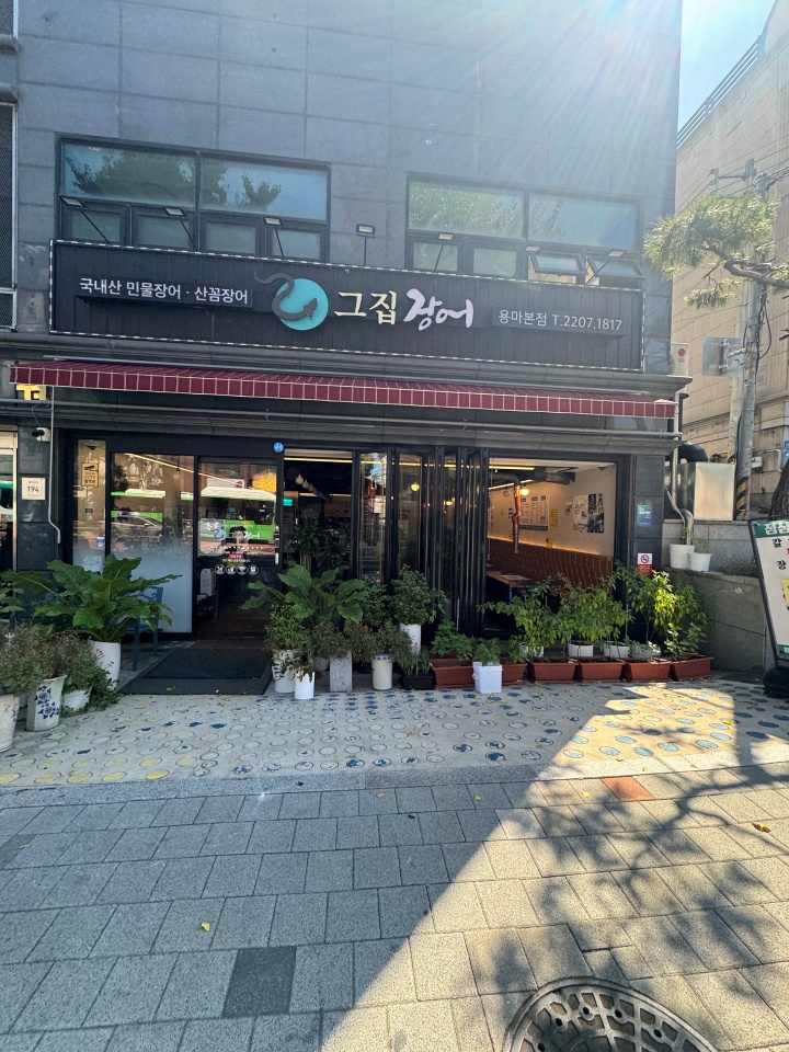 그집장어 이미지
