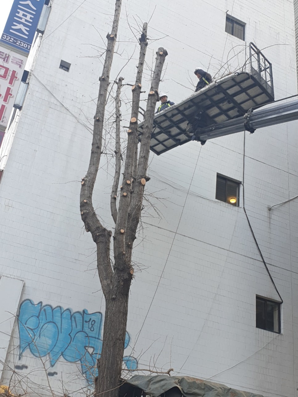 태진자원 이미지