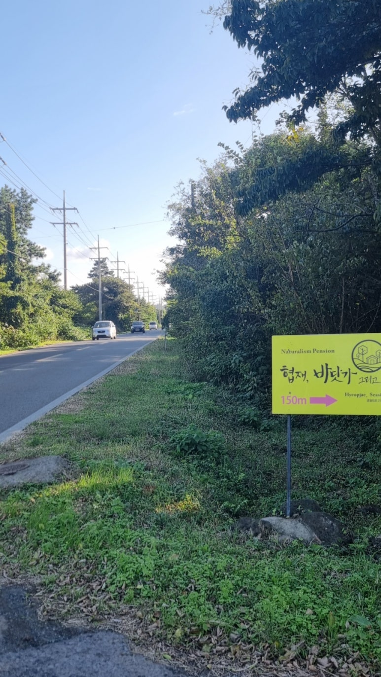 협재바닷가그리고숲속 이미지
