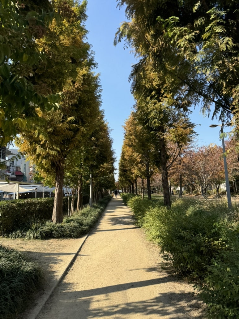숲길 이미지