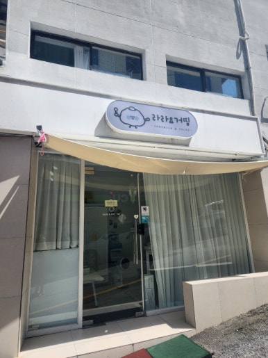 라라요거띵 이미지