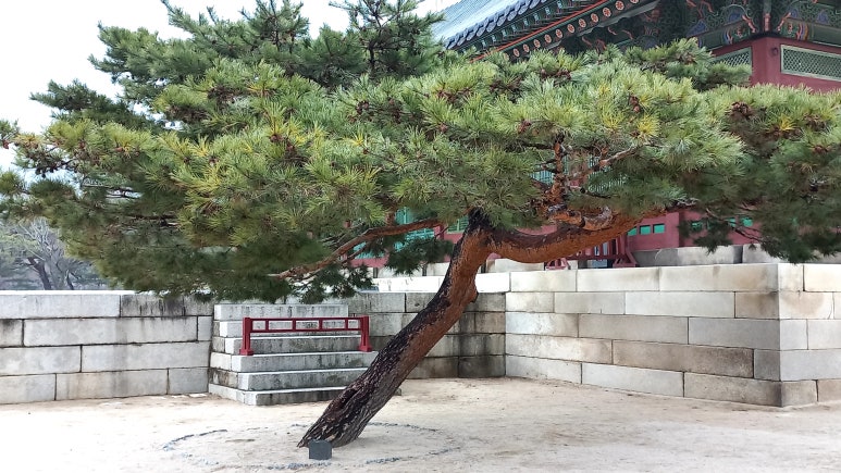 연호설비 이미지
