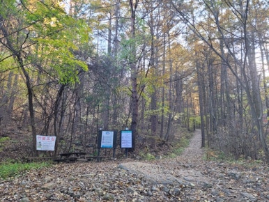 용문산 허니 이미지