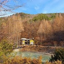 온빛투어 이미지