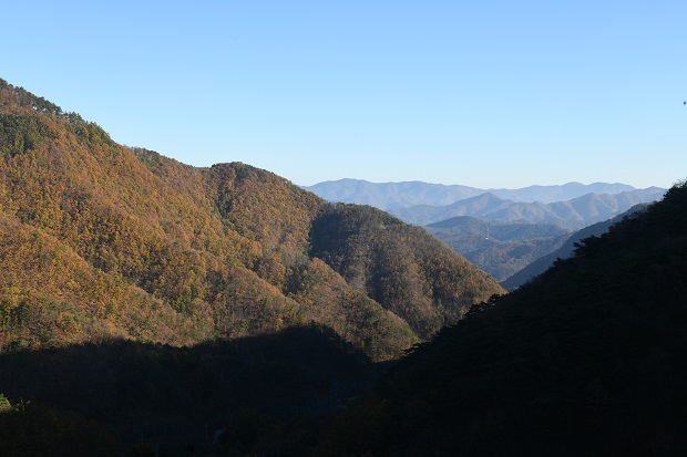 보발재드라이브 이미지