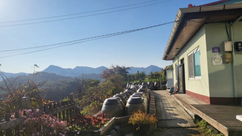 아미산쑥티된장 이미지