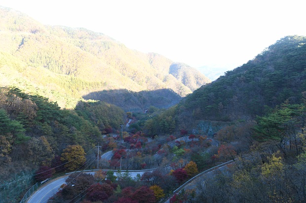 보발재드라이브 이미지